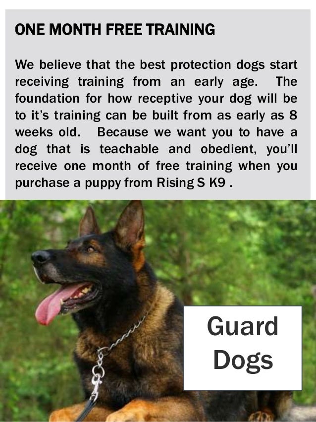How to make a live photo video longer Schutzhund trained dogs for sale